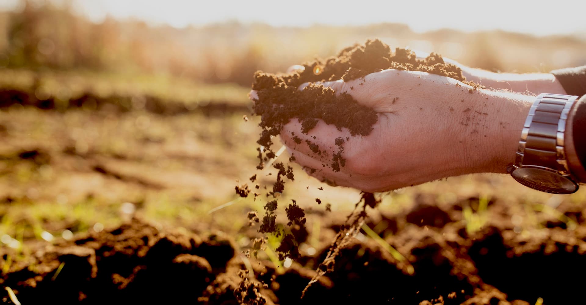 Might “Cold Peating” Offer a New Approach for American Single-Malt Whiskey?