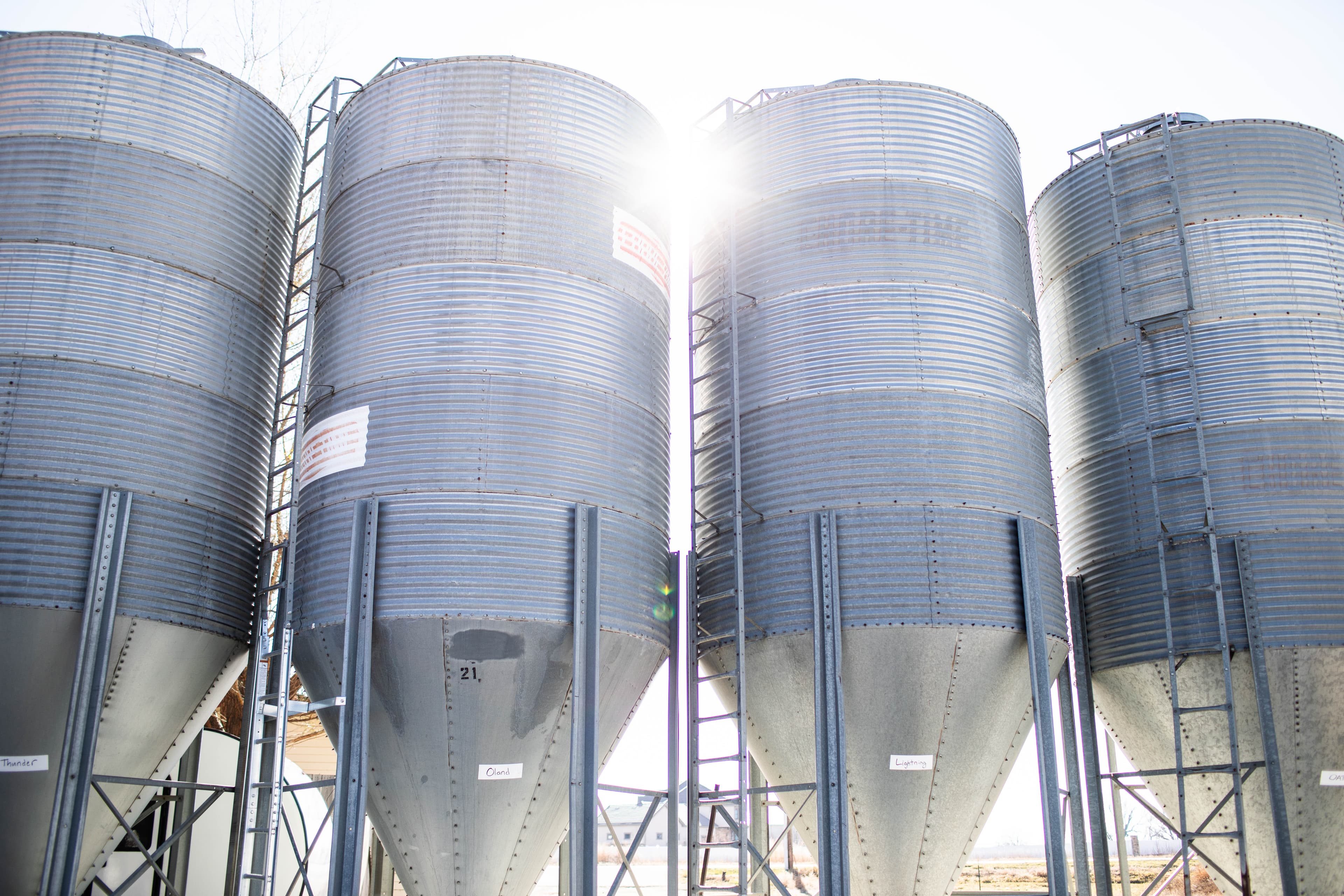 Video Tip: Carefully Cultivating Corn for Craft Distillers