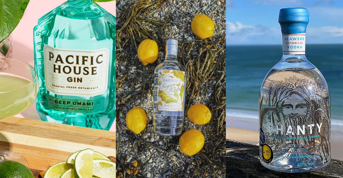 Seaweed Is Making Waves in Spirits