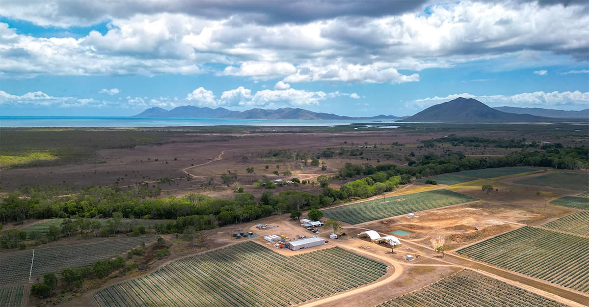 The Wider World of Agave Spirits