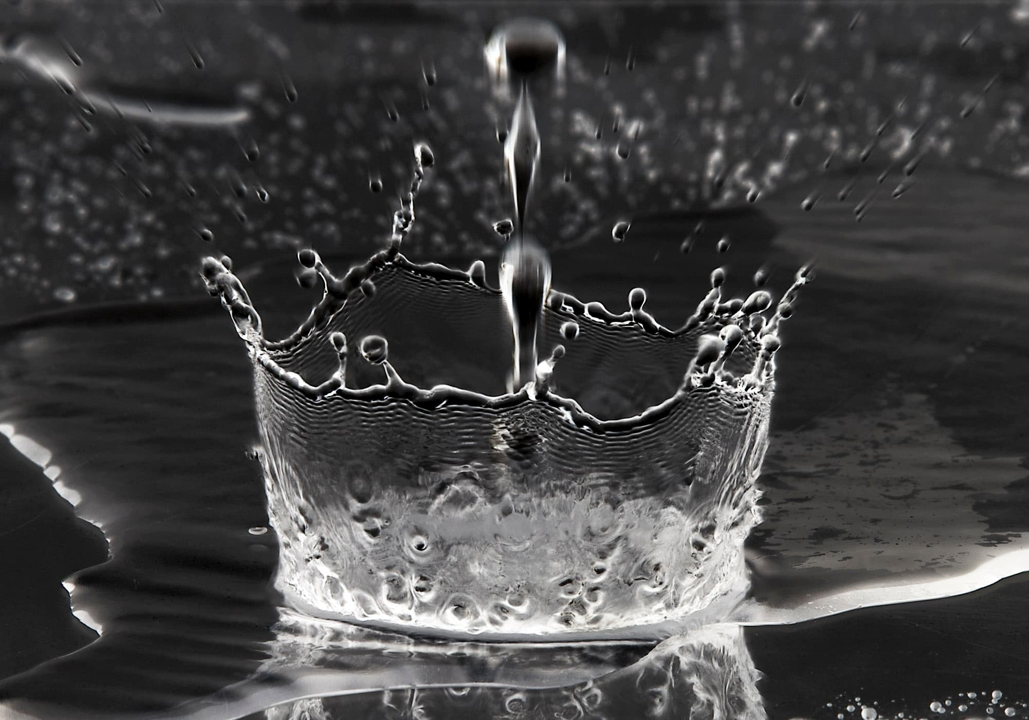 High-Quality Proofing Water Is Essential to Great Spirits