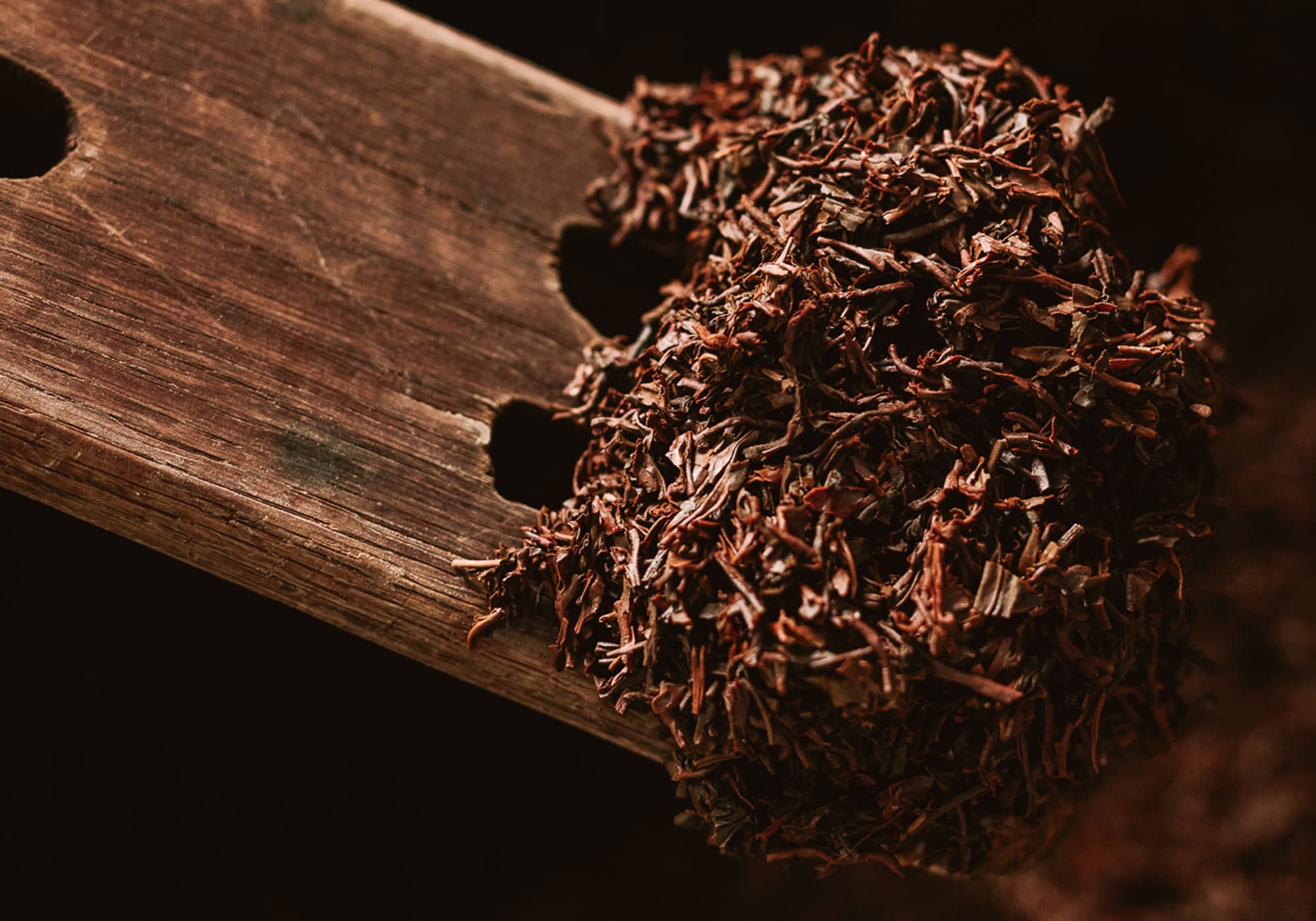 Spill the Tea: Liqueurs that Harness the Flavors of Camellia Sinensis