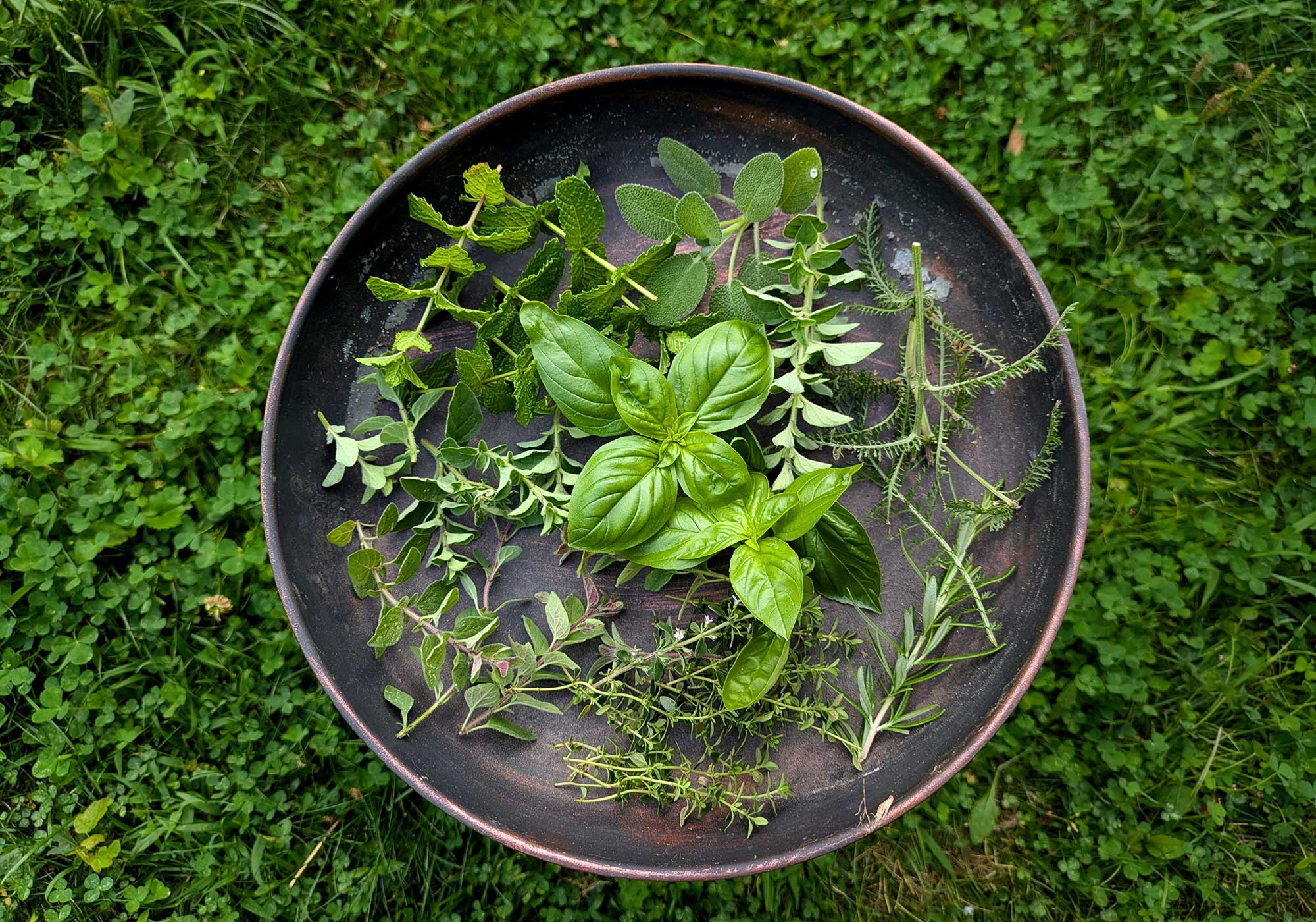 From the Soil to the Shaker: Gardening for Cocktail Syrups