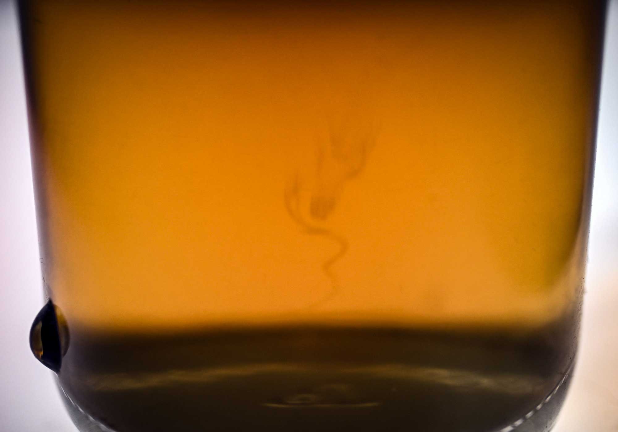 Chill Filtration: Let’s Clear Things Up