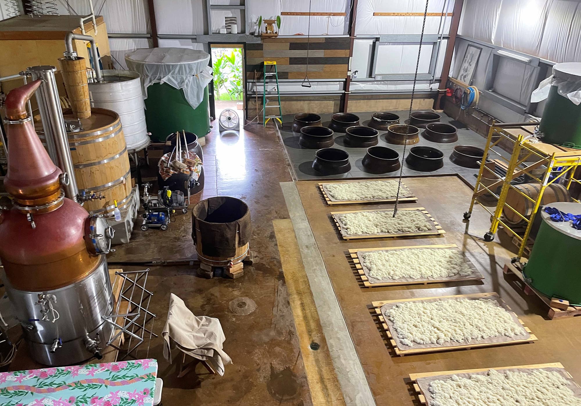 How Koji Can Conjure Unique Flavors in Spirits