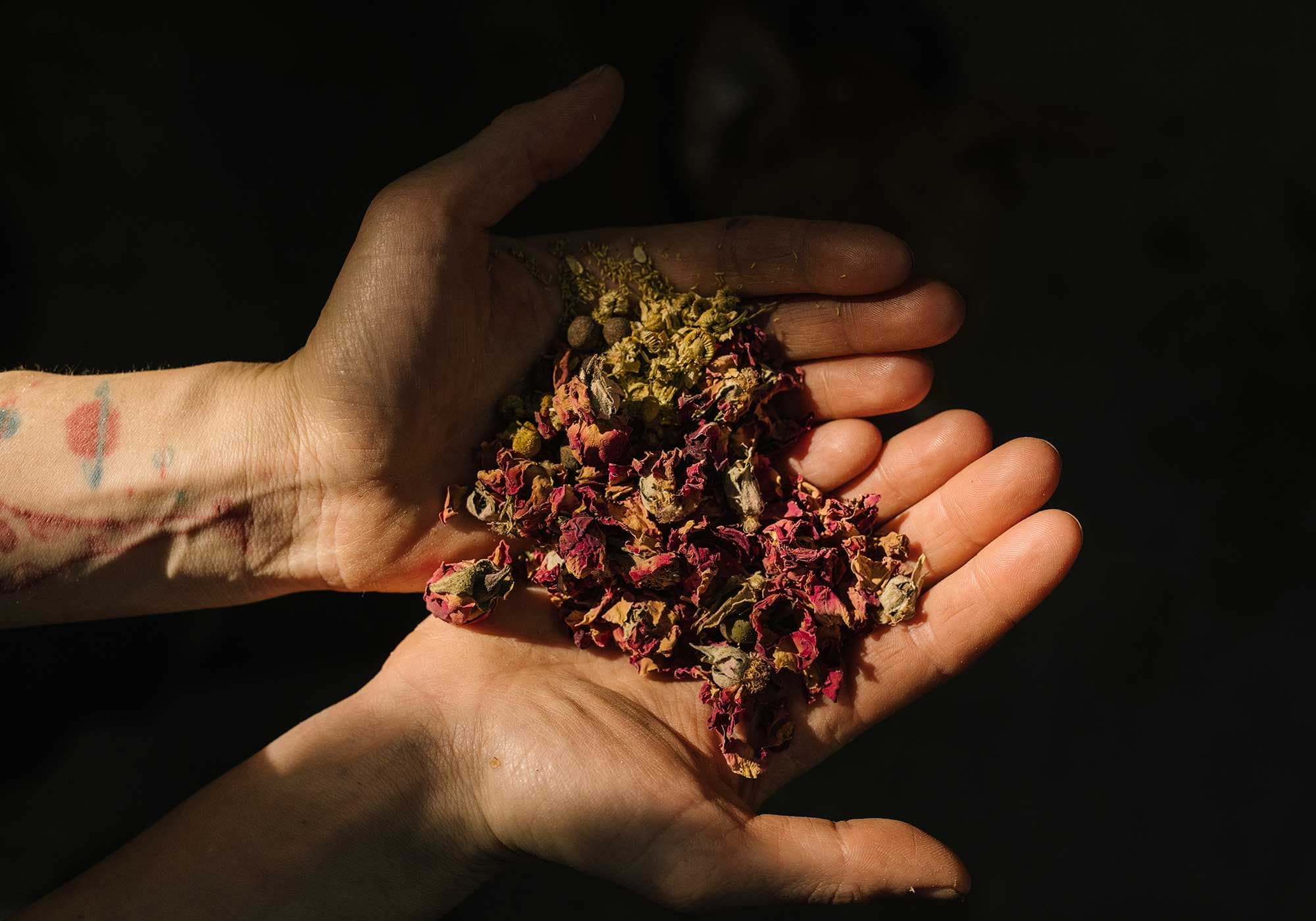 Eda Rhyne Is Distilling Southern Superstition