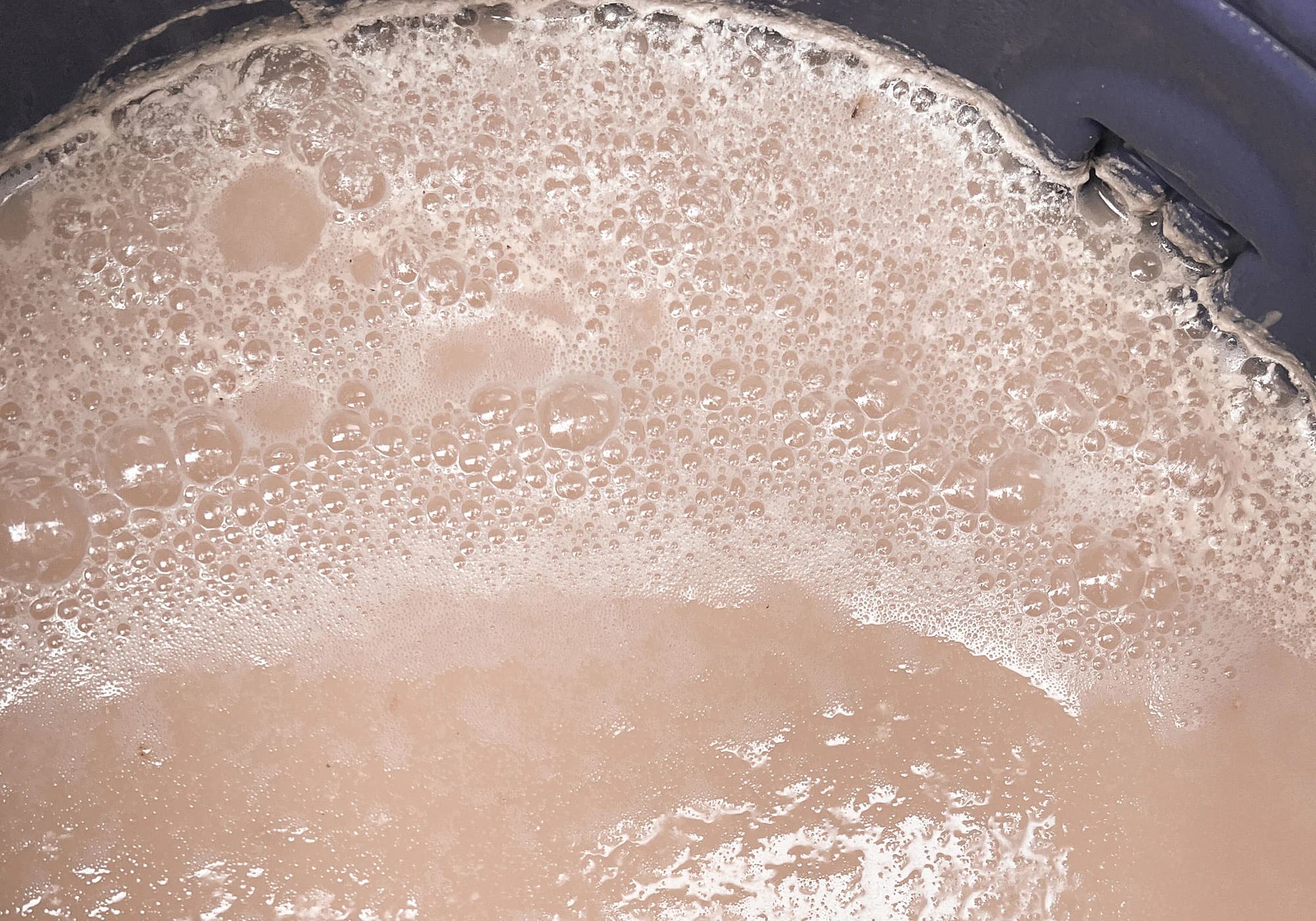 Spirits of the Wild: Embracing Ambient Yeast