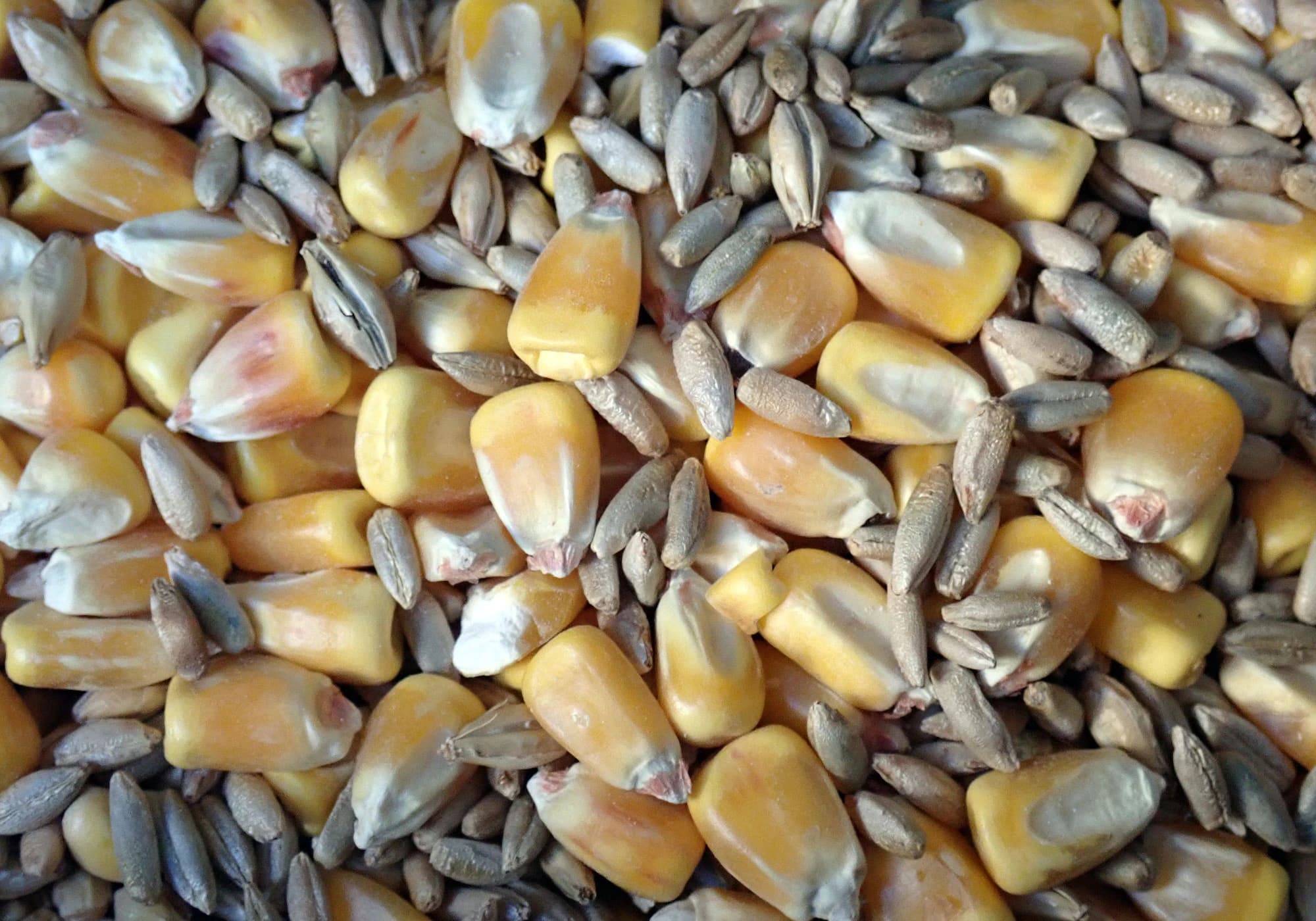 Understanding and Visualizing Yield in the Distillery