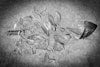 Hard Times Hit Craft Distillers Image