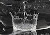 High-Quality Proofing Water Is Essential to Great Spirits Image