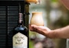 Mastering Frozen Cocktails Image